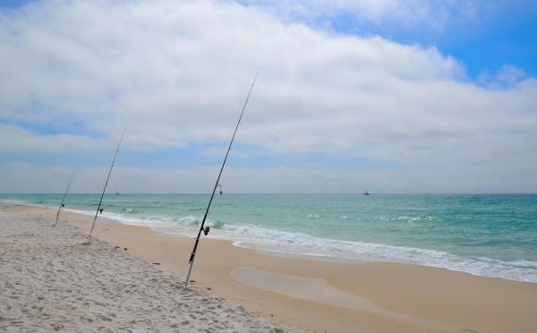 Your Ultimate Guide to the Best Surf Fishing in 30A